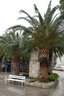 gal/cro 08/_thb_small-IMG_4814.JPG
